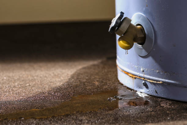 Best Water damage restoration near me  in Latrobe, PA