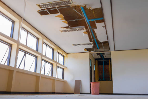 Best 24-hour water damage restoration  in Latrobe, PA