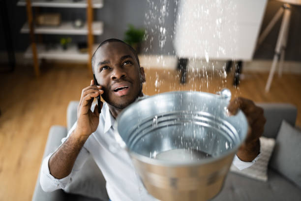 Best Flood restoration services  in Latrobe, PA