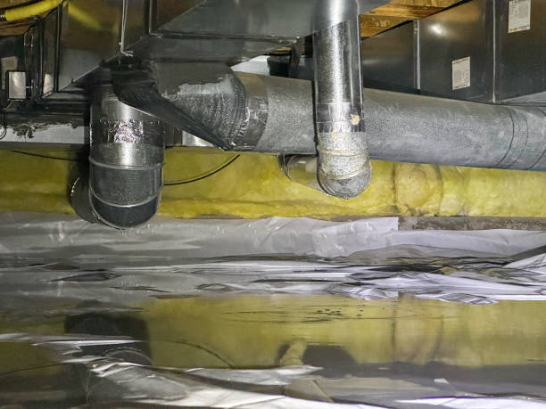 Best Flood damage cleanup  in Latrobe, PA